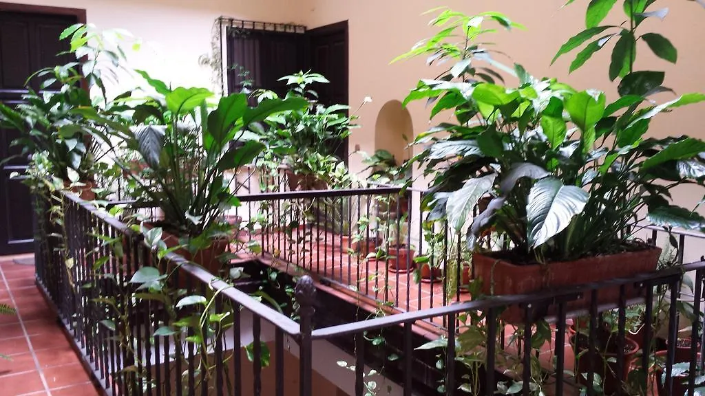 Plaza San Marcos Apartment Seville