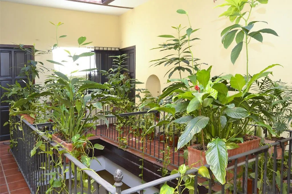 Plaza San Marcos Apartment Seville Spain