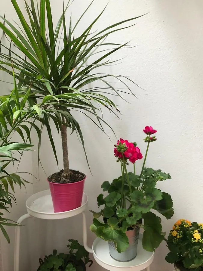Plaza San Marcos Apartment Seville Spain